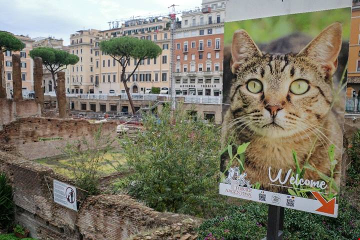 L'area archeologica più straordinaria di Roma custodisce una colonia felina con 2000 anni di storia