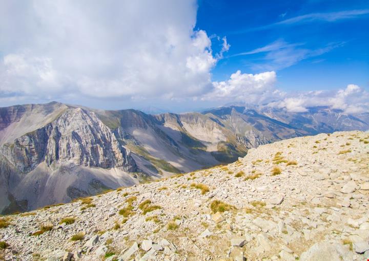 vettore_1820810687
