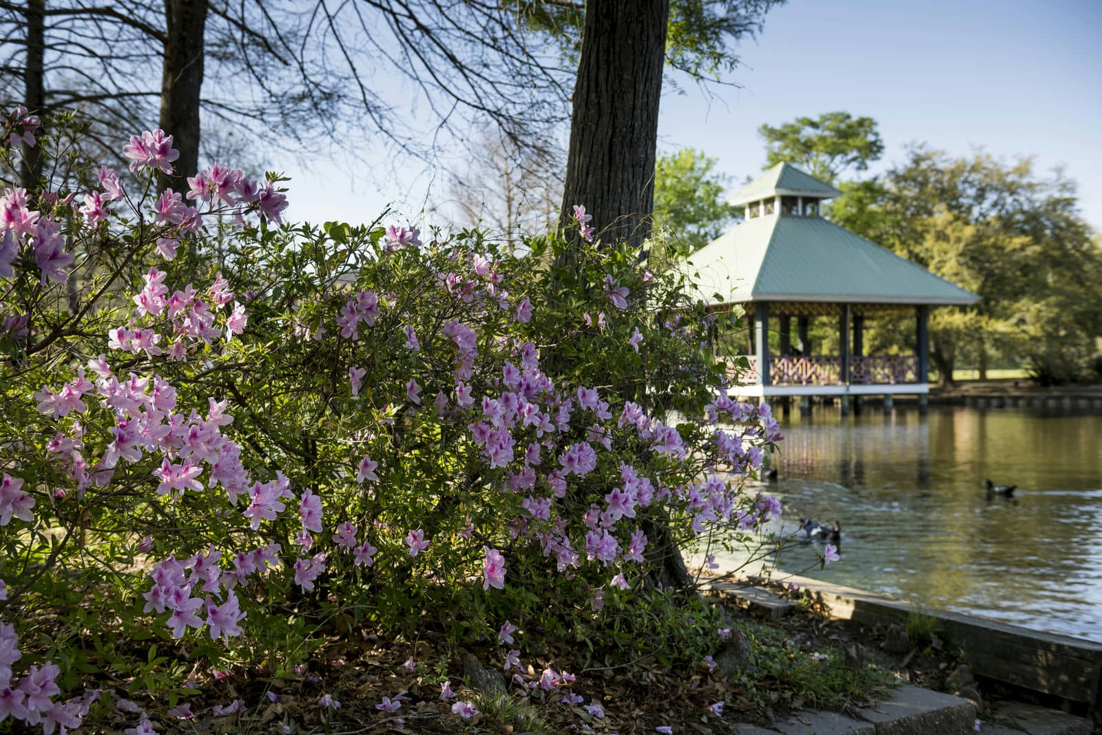 Louisiana tra cultura, divertimento e natura