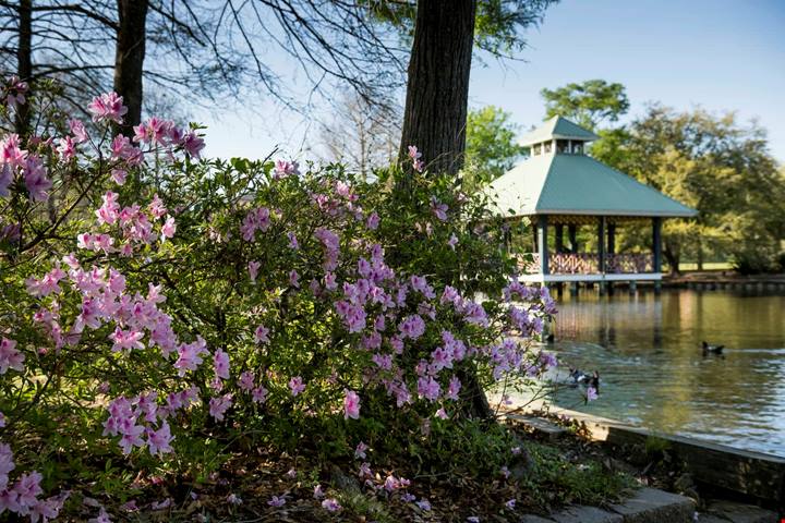 Louisiana tra cultura, divertimento e natura