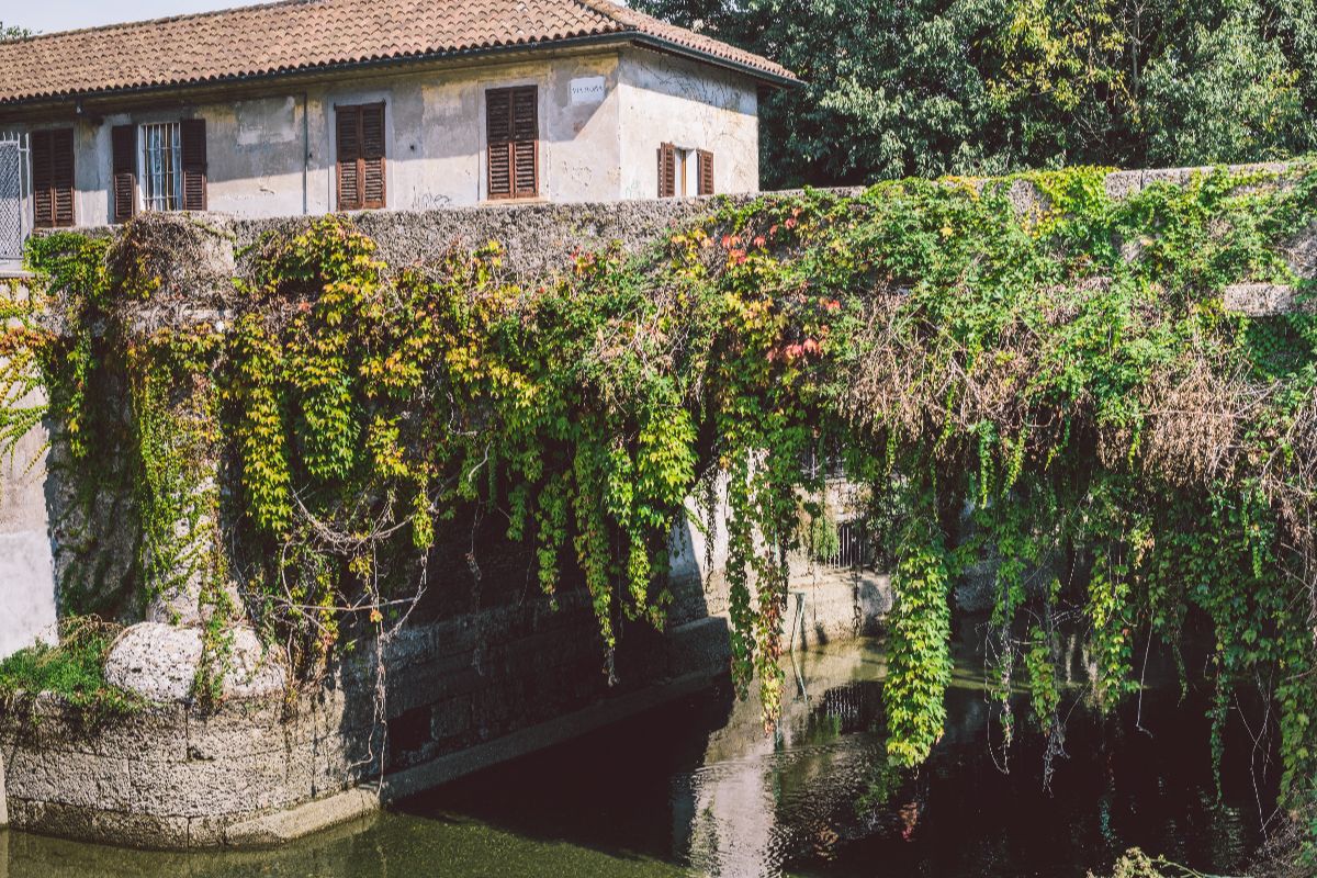 Naviglio della Martesana (5)
