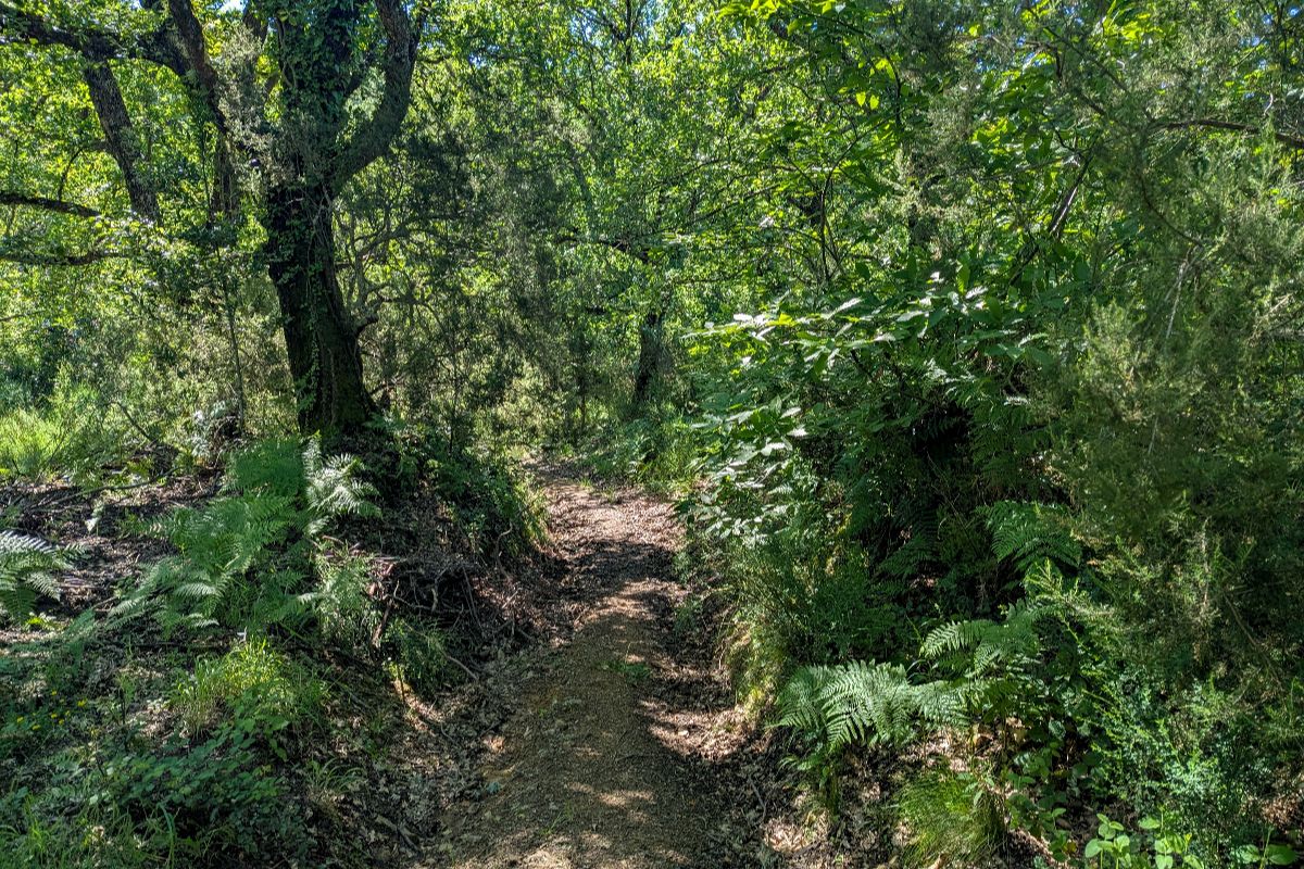 La Toscana che non ti aspetti è racchiusa nel borgo circondato dalla Valle del Diavolo