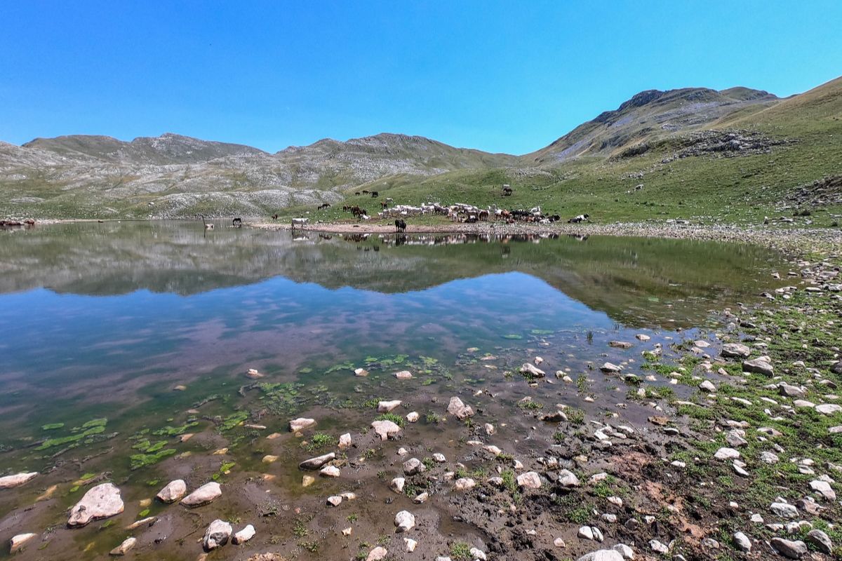 A quasi 1800 metri d'altezza sugli Appennini del Lazio c'è il piccolo lago che 50 anni fa divenne improvvisamente famoso