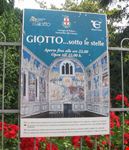 manifesto opera di Giotto