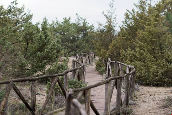 La spiaggia toscana senza hotel sul mare: qui non ci sono cartoline social, ma il vero mare di una volta