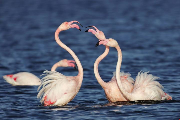 Al centro della Laguna c'è la città che tutti vogliono visitare: in estate diventa una meta di viaggio da non perdere
