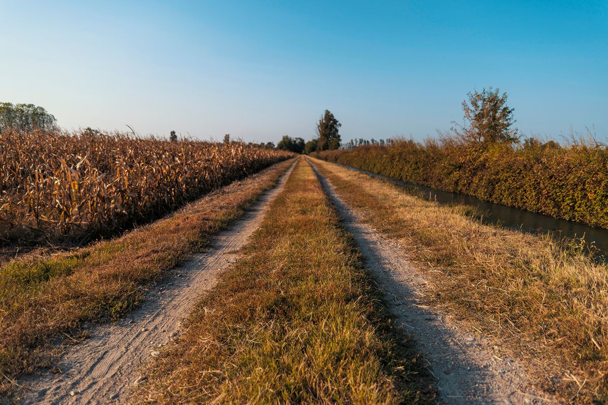 2000 abitanti e tutto il fascino della provincia: in Lombardia per scoprire il borgo della bella incompiuta