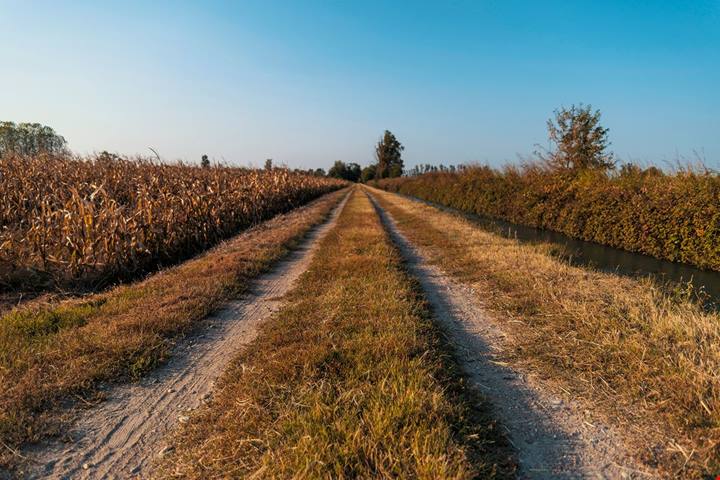 2000 abitanti e tutto il fascino della provincia: in Lombardia per scoprire il borgo della bella incompiuta