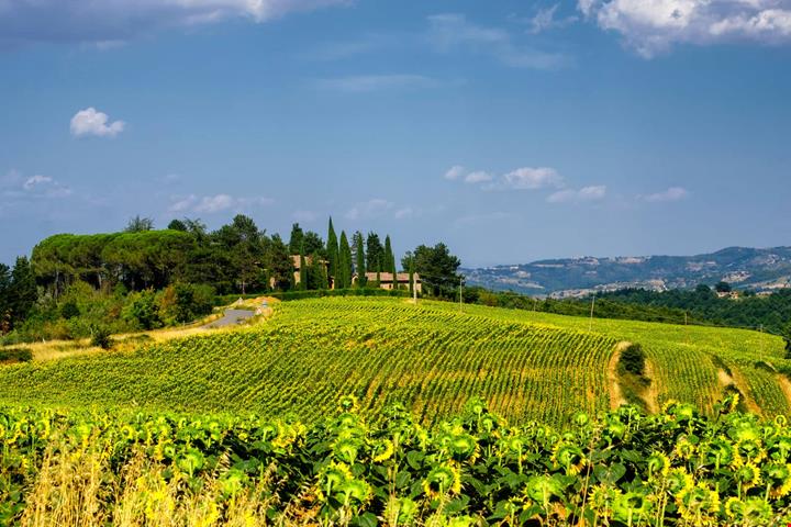 cetona_1028472268