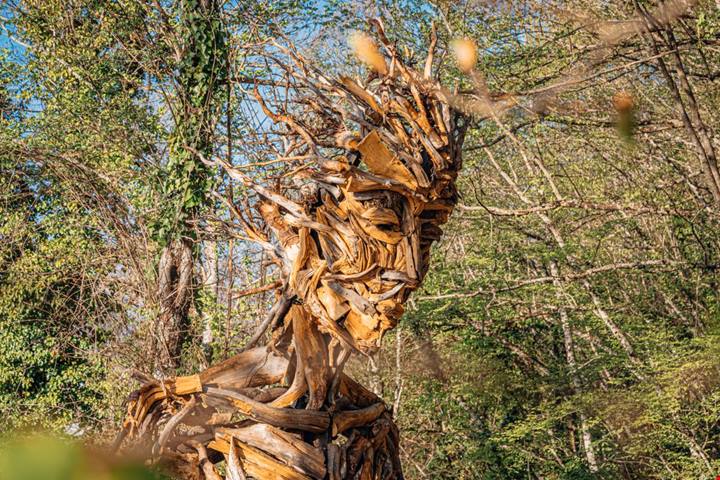 Una statua di 4 metri e opere d'arte nascoste nel bosco: a meno di un'ora da Roma c'è il museo a cielo aperto da vedere almeno una volta nella vita