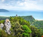 forest-bathing-in-italia_2653465683 forest-bathing-in-italia_2653465683