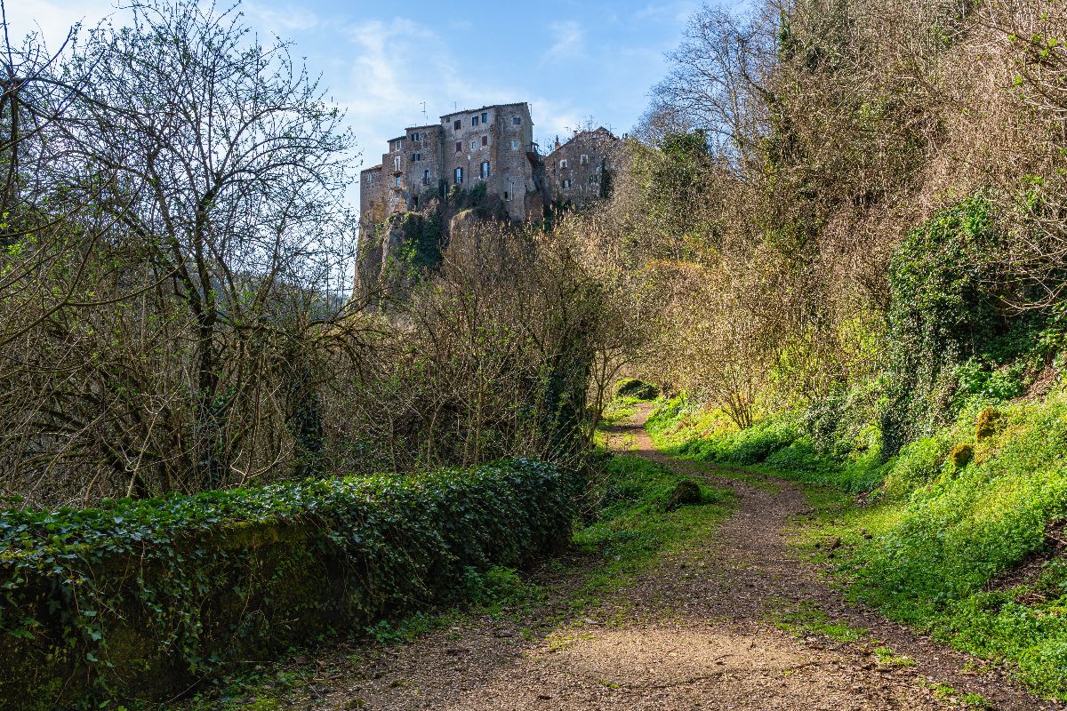 Forre di Corchiano (5)