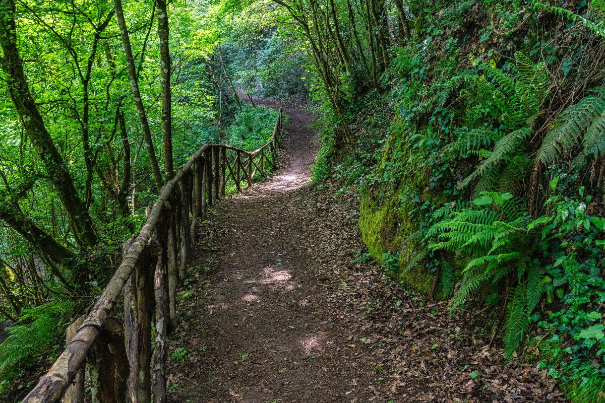 Vicino a Viterbo per scoprire un antico sito preistorico dove passeggiare tra cascate, grotte e vie cave