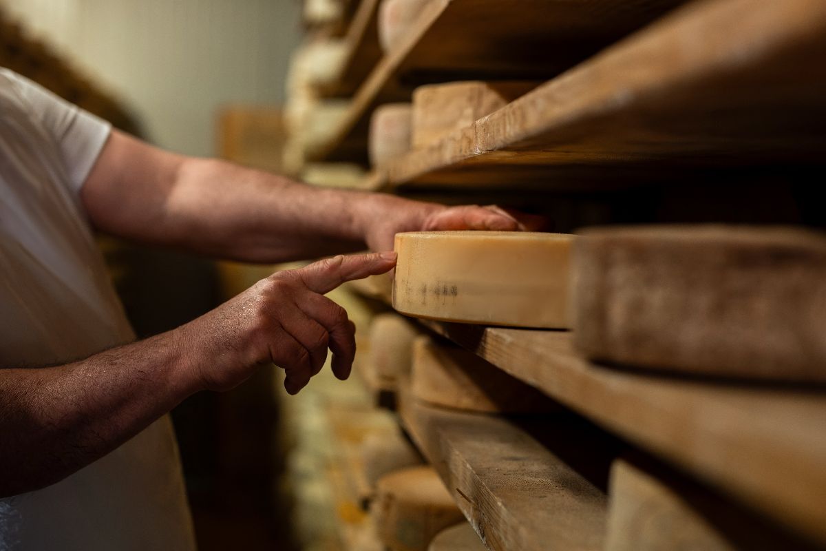 Il borgo delle cicogne e del formaggio tipico: in Friuli Venezia Giulia c'è un luogo magico sospeso nel tempo