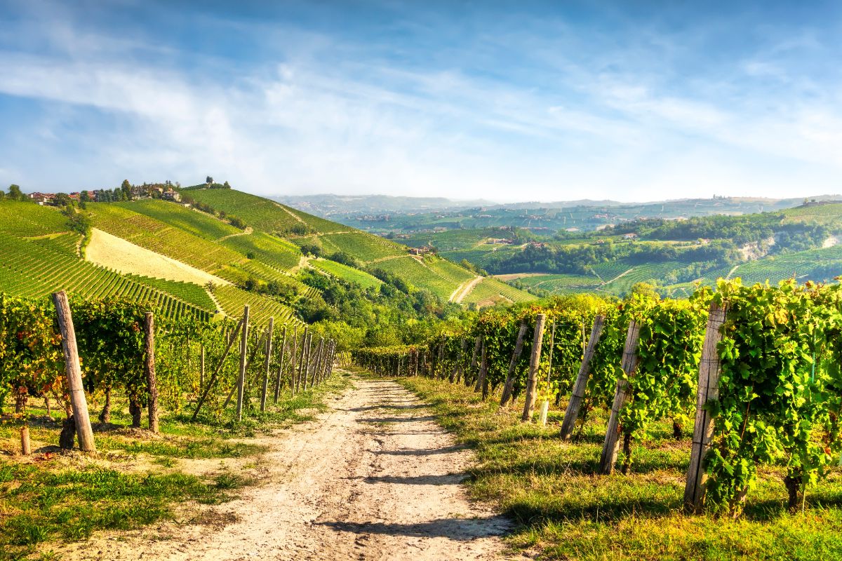 La lentezza come scelta di vita: nel cuore delle Langhe per scoprire il borgo dei vigneti dove tutti se la prendono con calma