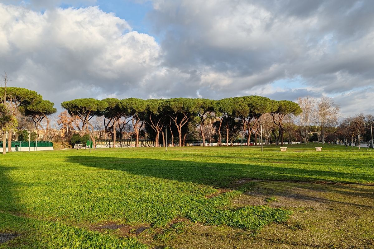 Una foresta d'acciaio nel cuore di Roma per ricordare un'episodio che ha segnato l'intero paese