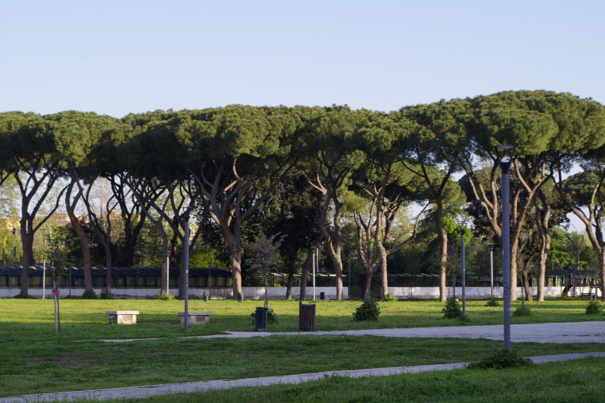 Parco Schuster