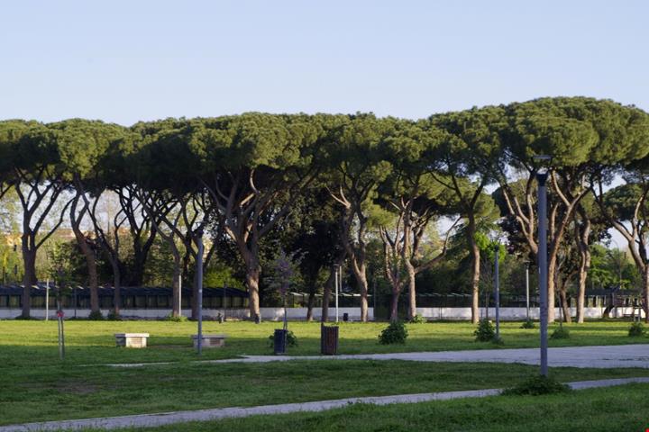 Parco Schuster