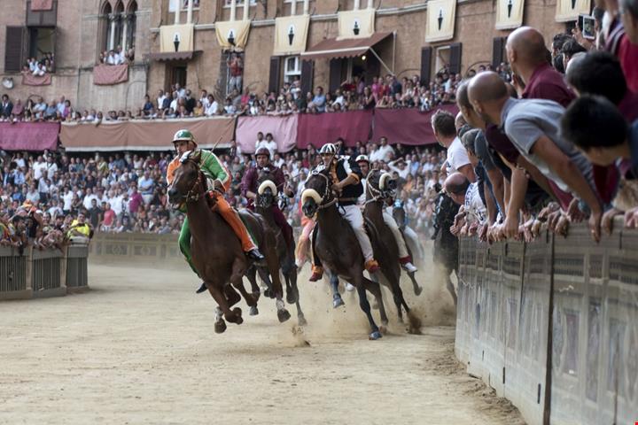 Palio di Siena (2)