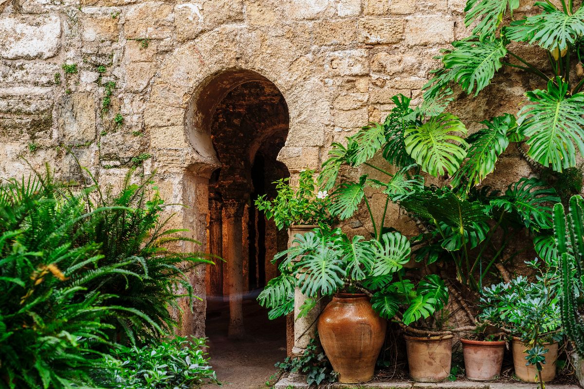 Tra cupole e giardini esotici, a Palma di Maiorca puoi visitare uno dei capolavori meno conosciuti dell'arte islamica in Spagna