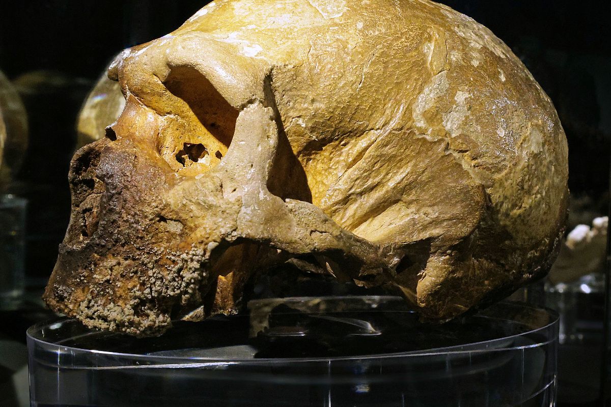 4 musei in uno: nel cuore del quartiere più moderno di Roma c'è un viaggio nel tempo che dura 10 mila anni
