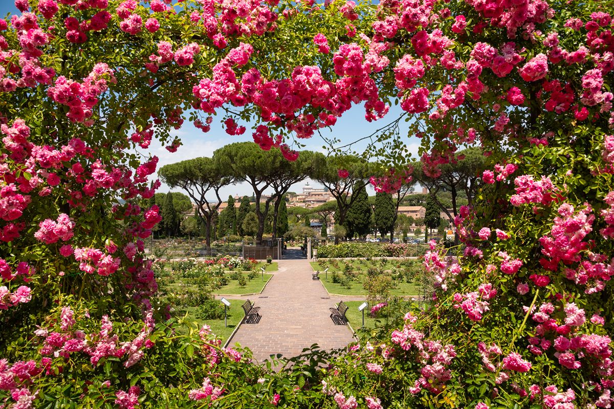 roma-roseto_2657488583