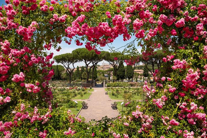 roma-roseto_2657488583