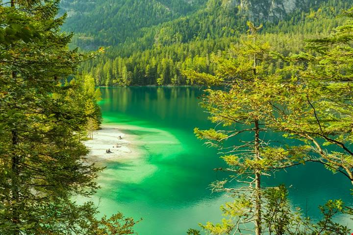 Lo chiamano il lago rosso, ma questo splendido specchio d'acqua nel cuore del Trentino ha un'acqua cristallina