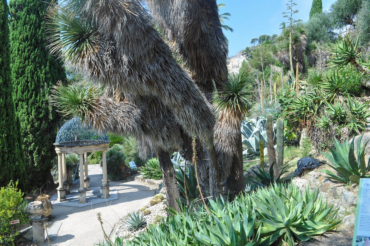A pochi chilometri dal confine francese, questo splendido giardino della Liguria ospita migliaia di specie esotiche e tropicali