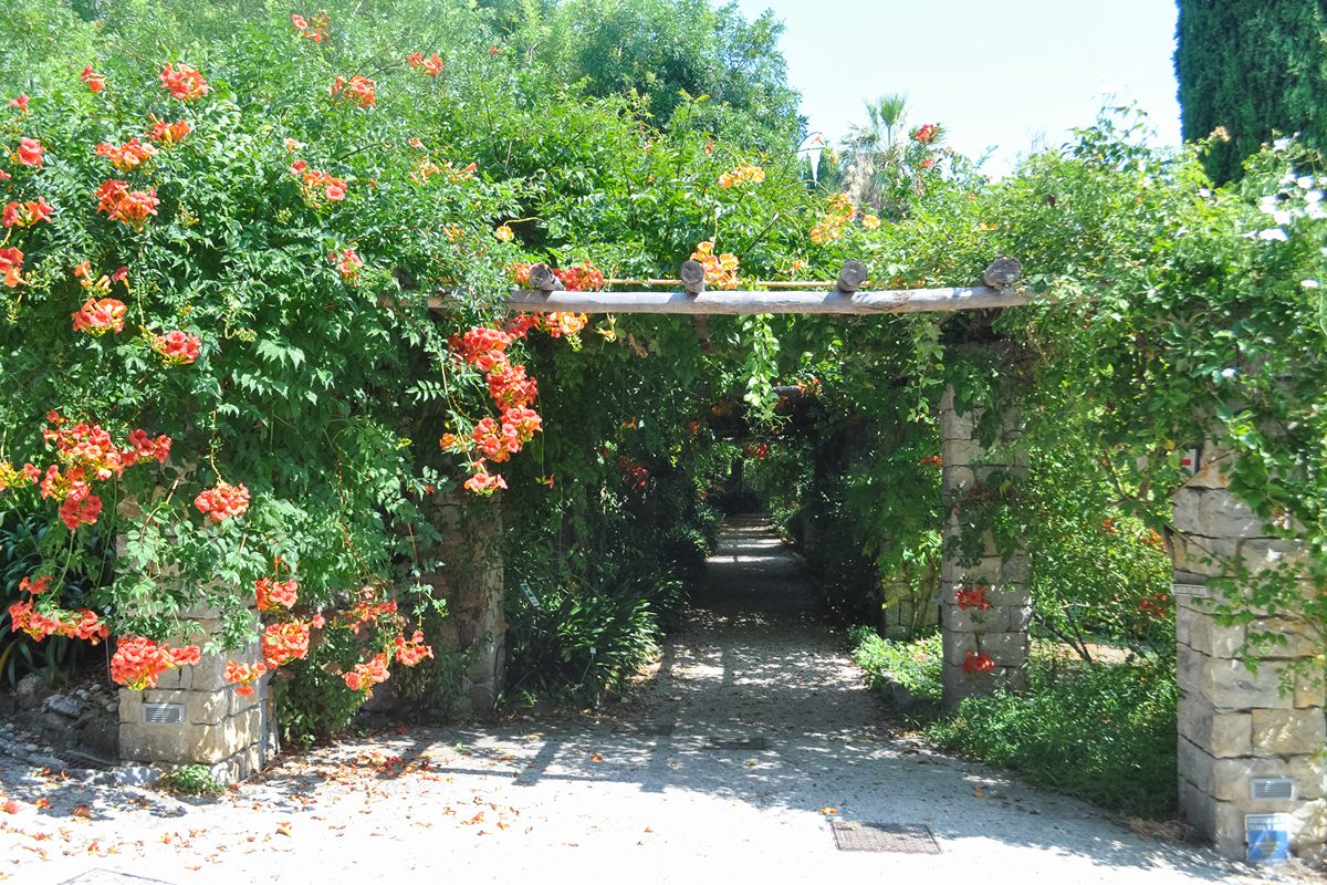 A pochi chilometri dal confine francese, questo splendido giardino della Liguria ospita migliaia di specie esotiche e tropicali