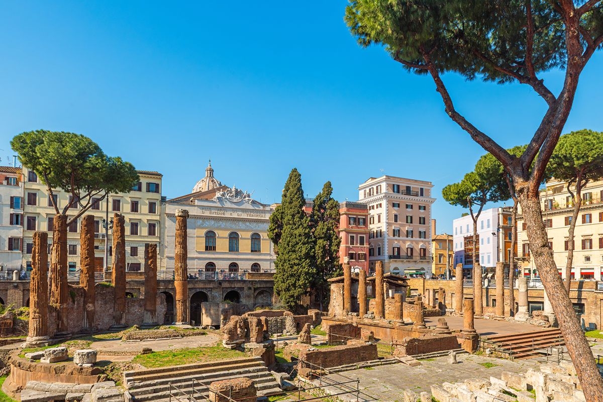 150 gatti sono i custodi del monumento più sottovalutato di Roma: proprio qui venne ucciso Cesare