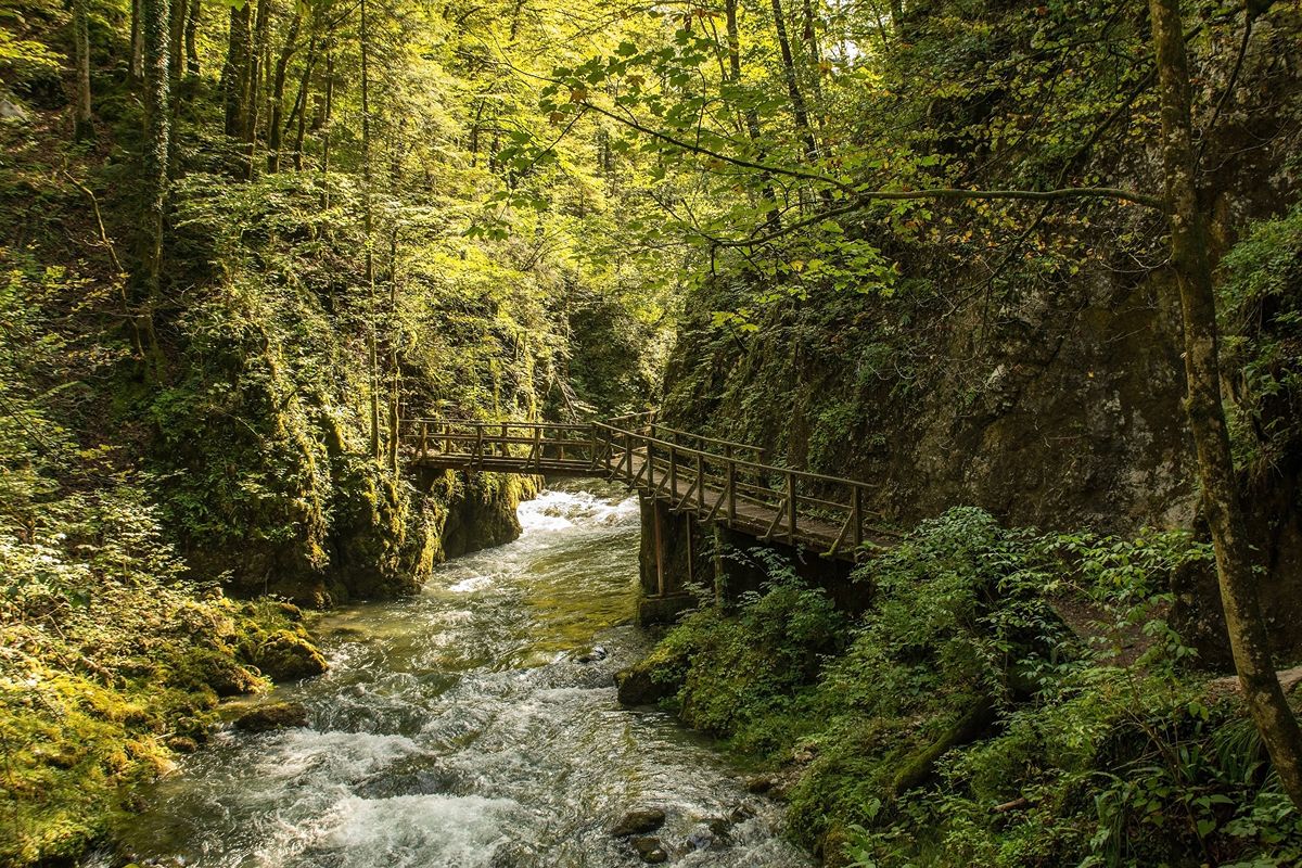 70% di territorio coperto da foreste e il mare che tocca le montagne: il polmone verde d'Europa è più vicino di quanto pensi