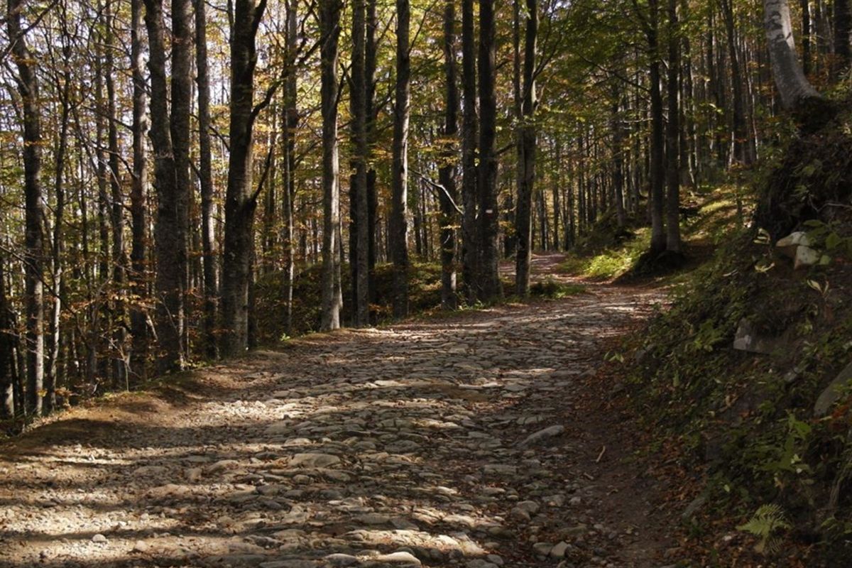 Da Mantova a Lucca, 300 chilometri di camminate a passo lento lungo i luoghi di Matilde di Canossa