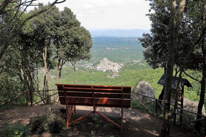 Faggeta Vetusta di Monte Cimino (1)
