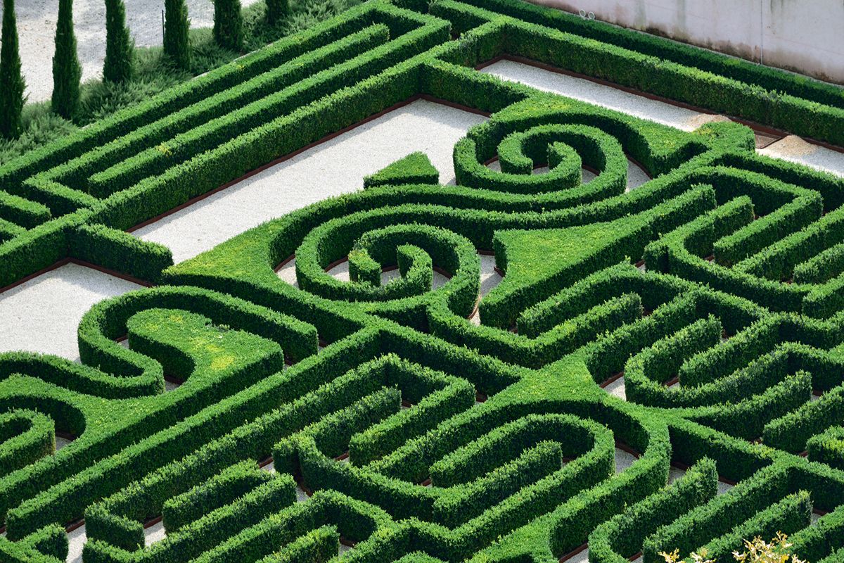 Un'idea insolita per vivere Venezia ad agosto: ha riaperto da poco il giardino-labirinto nel cuore della Laguna
