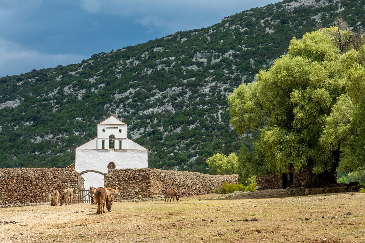 In Italia c'è la terra dei Centenari: qui si vive fino a 100 anni a base di ottimi piatti e un ambiente da sogno