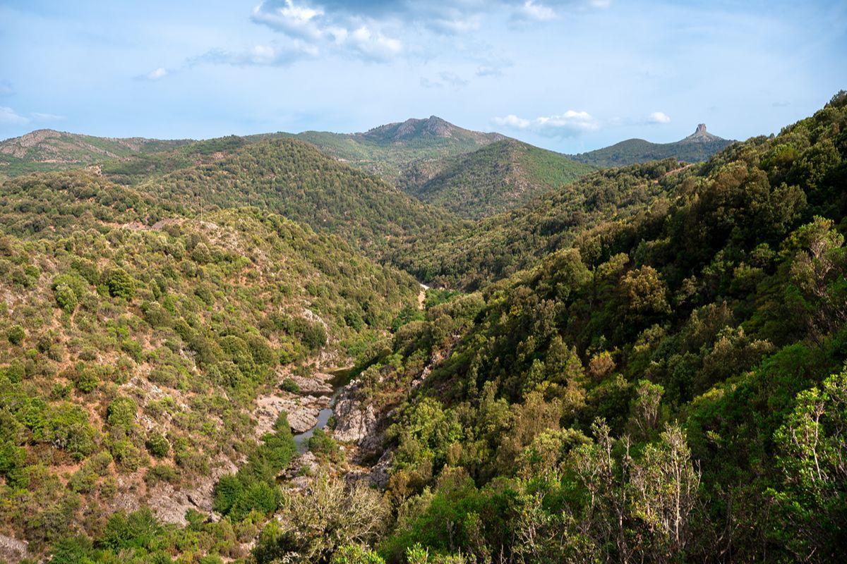 In Italia c'è la terra dei Centenari: qui si vive fino a 100 anni a base di ottimi piatti e un ambiente da sogno