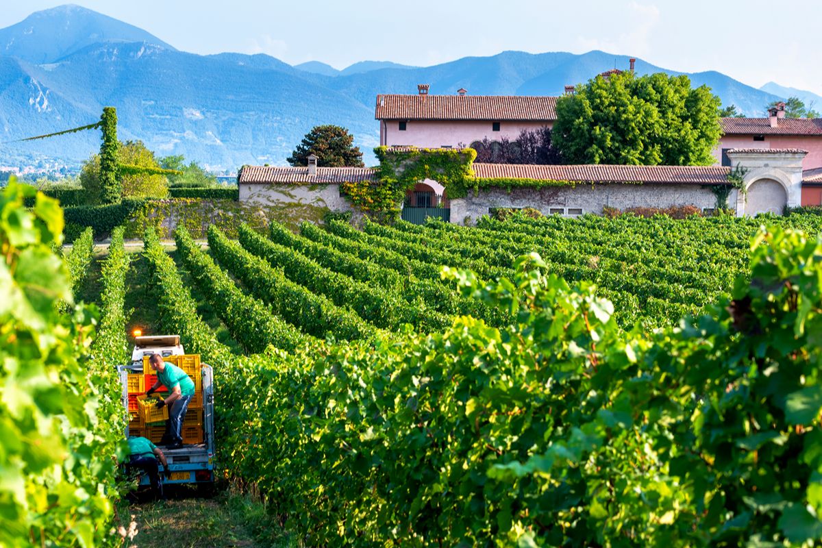 120 produttori, il lago e le colline piene di vigne: è la valle simbolo del vino in Italia, ma ancora pochi scelgono di visitarla