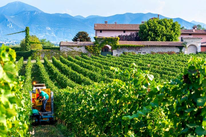 120 produttori, il lago e le colline piene di vigne: è la valle simbolo del vino in Italia, ma ancora pochi scelgono di visitarla