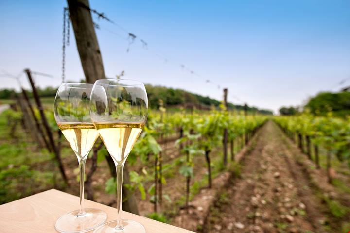 120 produttori, il lago e le colline piene di vigne: è la valle simbolo del vino in Italia, ma ancora pochi scelgono di visitarla