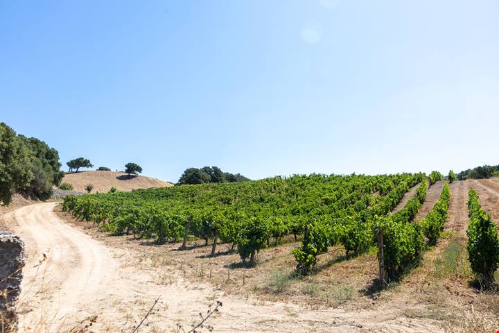 Sardegna, il borgo di granito dove foreste di sughero e mirto regalano un'oasi di pace