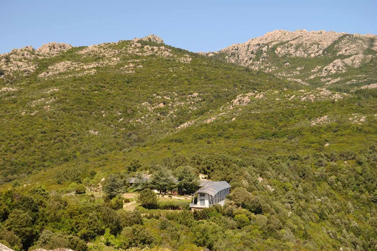 Sardegna, il borgo di granito dove foreste di sughero e mirto regalano un'oasi di pace