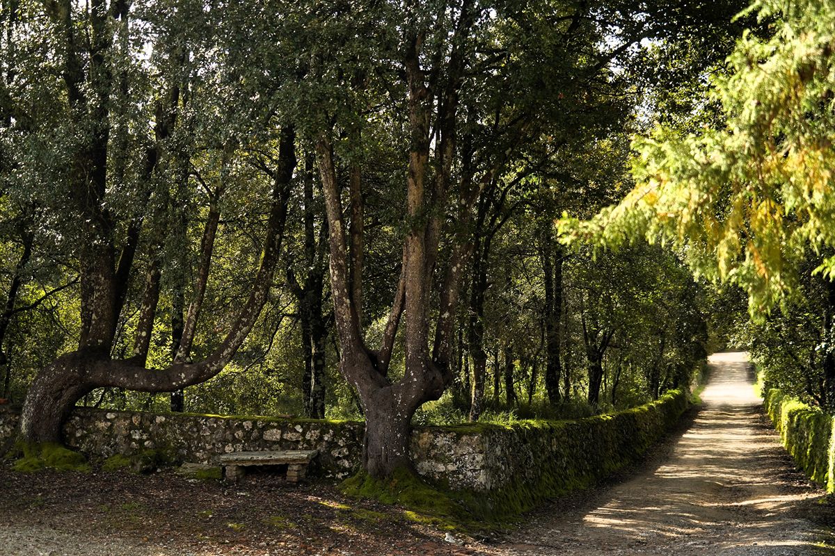 Toscana, lo straordinario eremo in pietra che spunta tra i boschi di lecci custodisce una storia lunga 800 anni