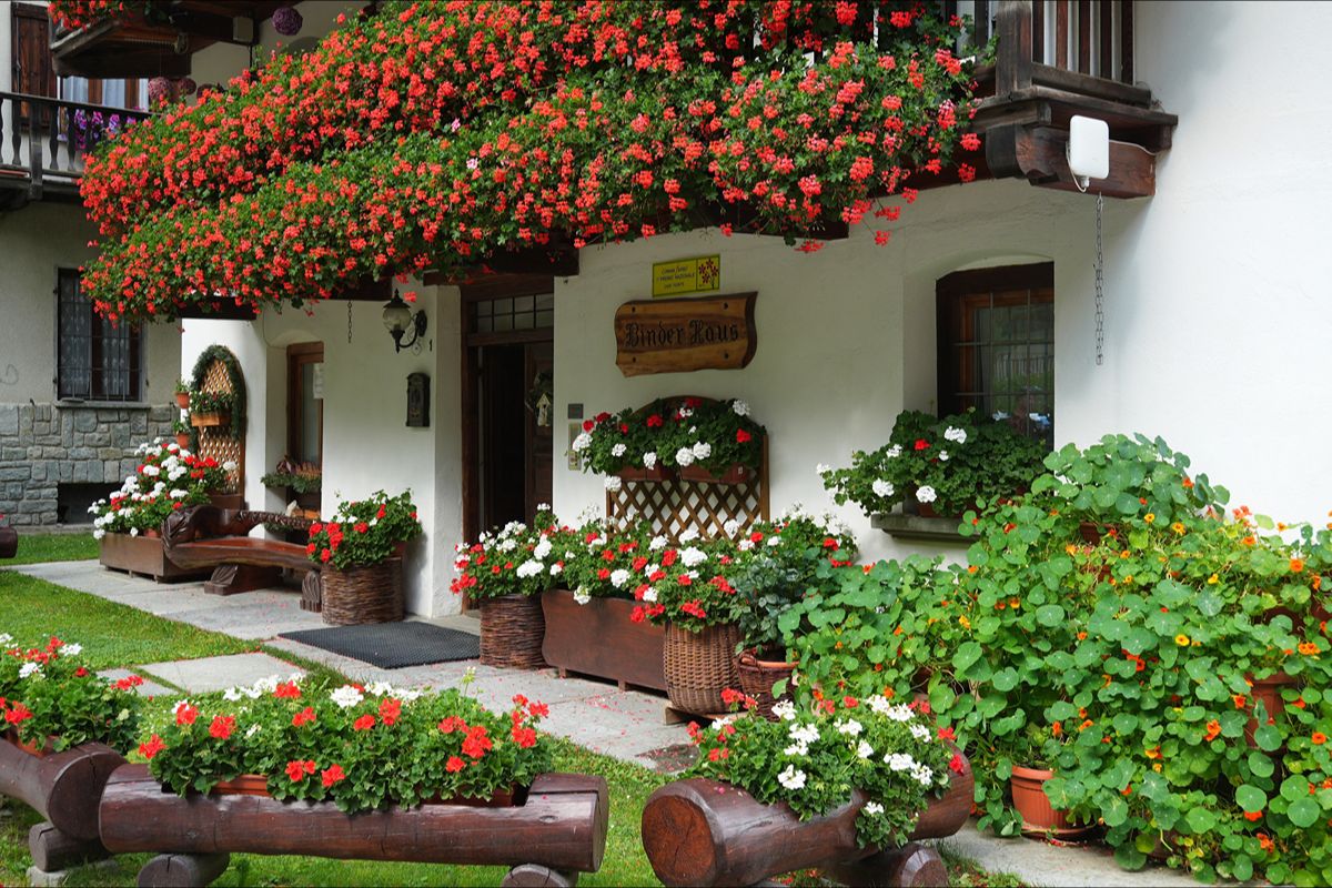 In Valle d'Aosta hanno inventato il sonnoturismo: viaggiare per dormire è la nuova frontiera delle vacanze rilassanti