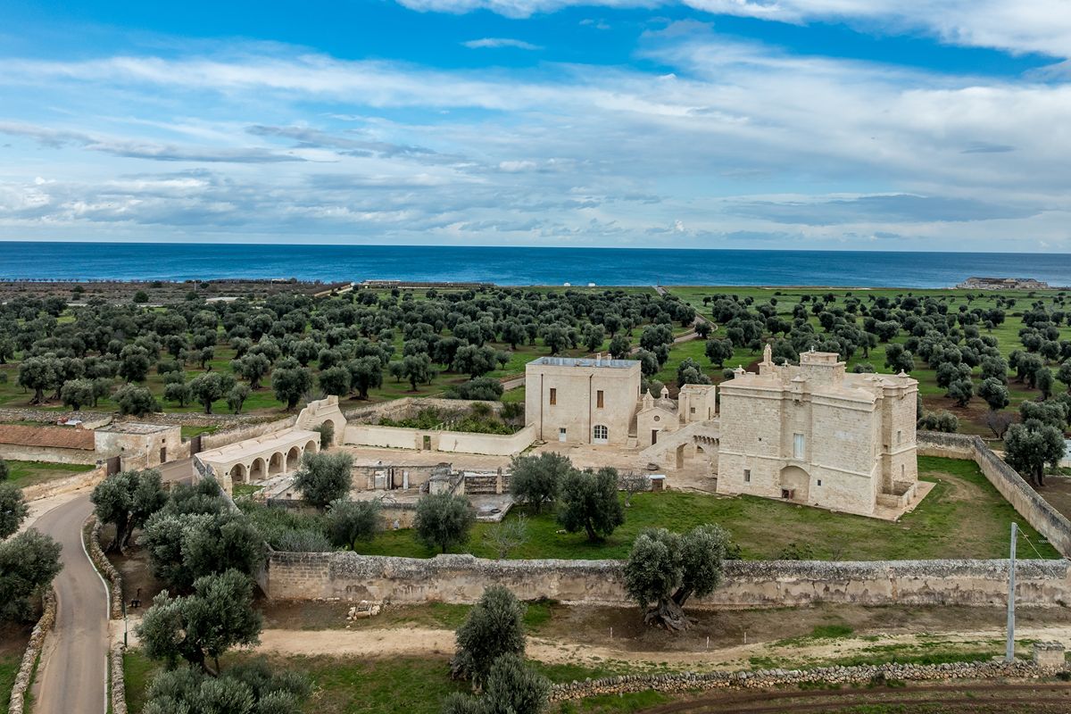 Fasano (2)