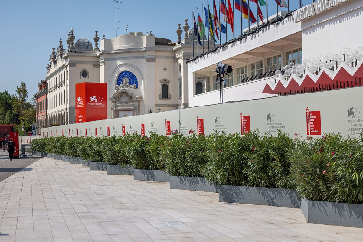 Mostra del cinema di Venezia 2026: date, programma e chi sarà presente al Festival