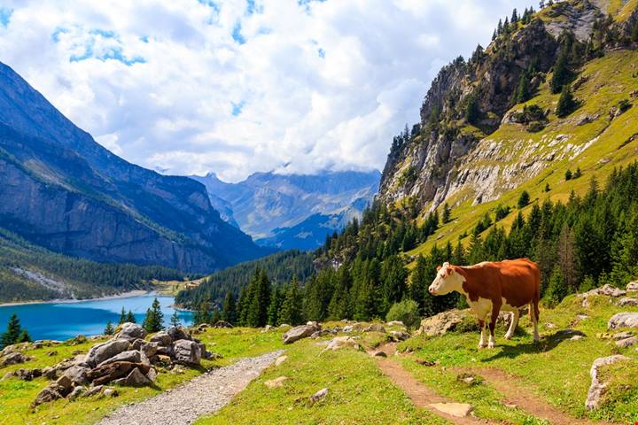 Svizzera, la perla di Kandersteg è il piccolo lago più bello del paese: per arrivarci devi salire fino a 1600 metri sulle Alpi