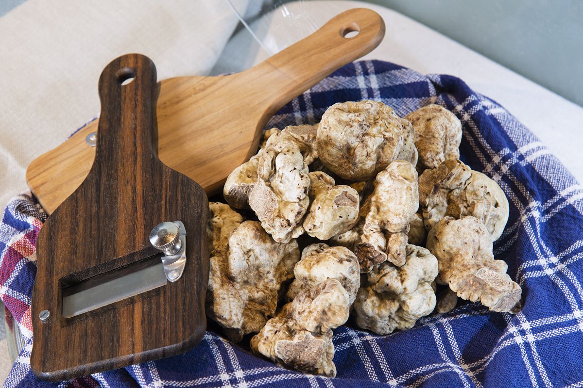 Fiera del Tartufo d'Alba 2026: calendario completo, biglietti ed eventi correlati