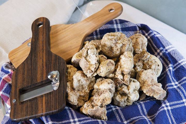 Fiera del Tartufo d'Alba 2026: calendario completo, biglietti ed eventi correlati