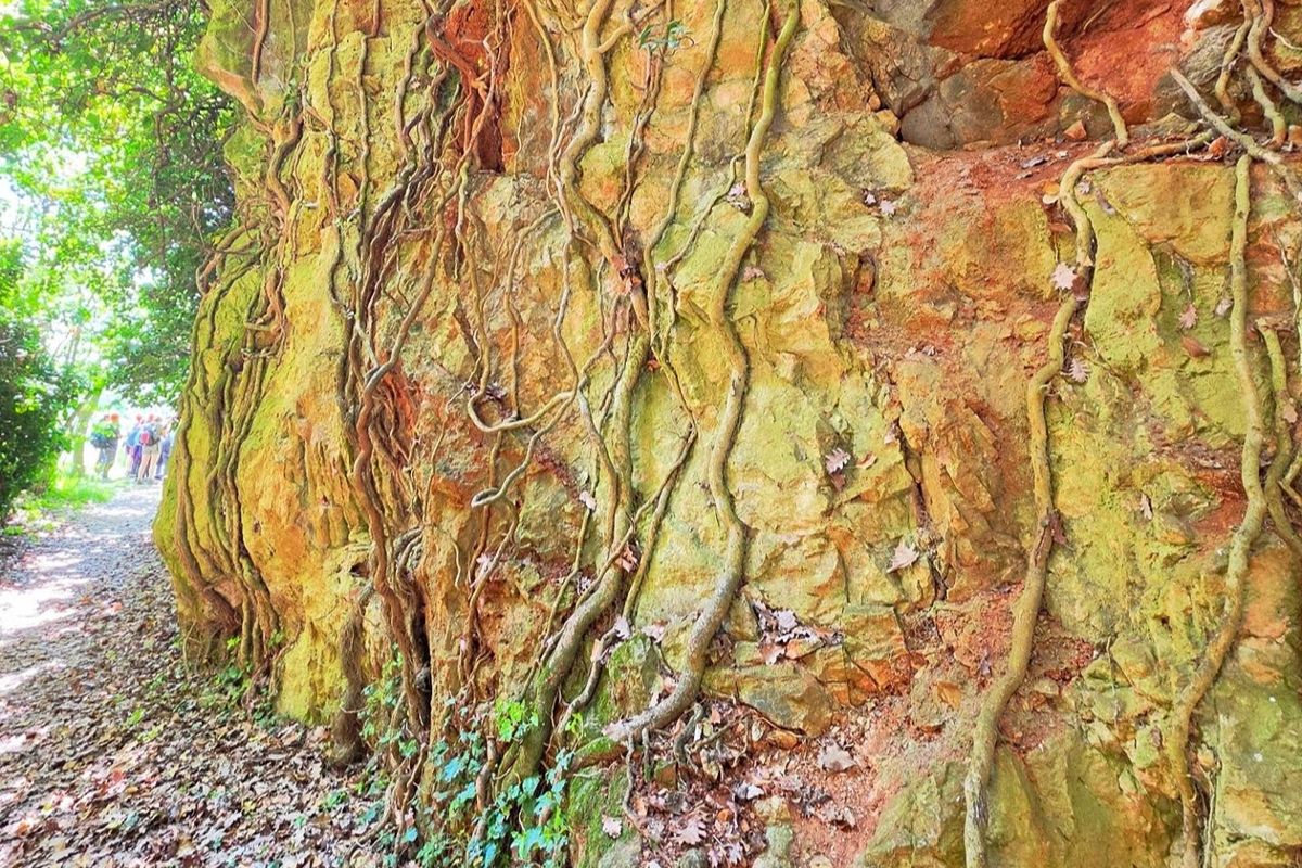 Piemonte, il canyon che nasconde le cave di alabastro dai paesaggi artistici e straordinari